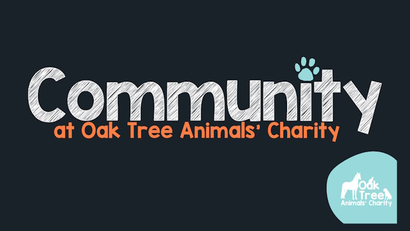 Working for the Community